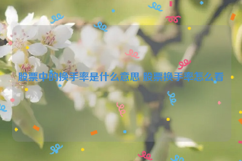 股票中的换手率是什么意思 股票换手率怎么看