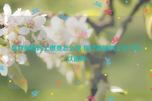 医疗保险网上缴费怎么退 医疗保险网上交了可以退吗
