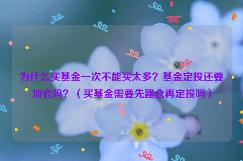 为什么买基金一次不能买太多？基金定投还要加仓吗？（买基金需要先建仓再定投吗）