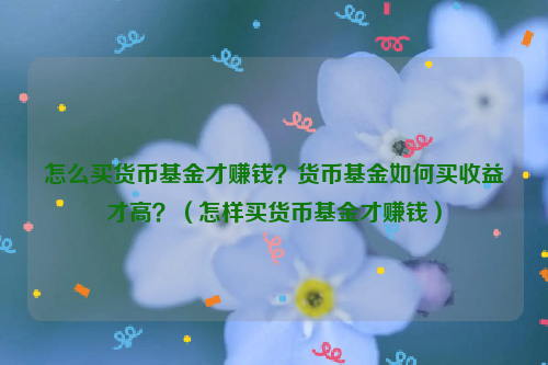 怎么买货币基金才赚钱？货币基金如何买收益才高？（怎样买货币基金才赚钱）