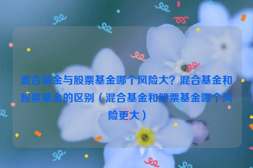 混合基金与股票基金哪个风险大？混合基金和股票基金的区别（混合基金和股票基金哪个风险更大）