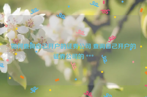 如何查询自己开户的证券公司 查询自己开户的证券公司的 ***