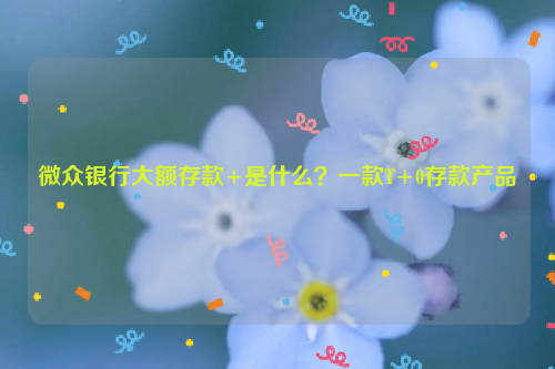 微众银行大额存款+是什么？一款T+0存款产品