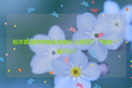 股市震荡的时候应该做什么投资？“固收+”是什么？