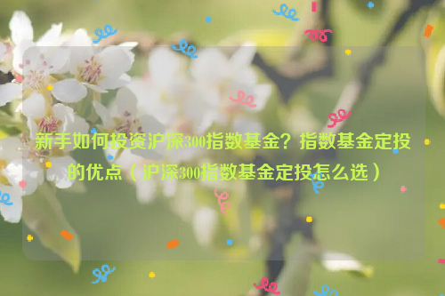 新手如何投资沪深300指数基金？指数基金定投的优点（沪深300指数基金定投怎么选）