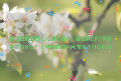 基金要跌到什么时候才回本？基金跌的时候需要注意什么？（基金跌的厉害,放多久可以回本）