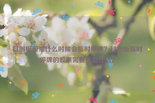 科创板股票什么时候会临时停牌？科创板临时停牌的股票需要注意什么？