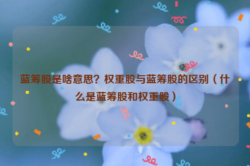 蓝筹股是啥意思？权重股与蓝筹股的区别（什么是蓝筹股和权重股）