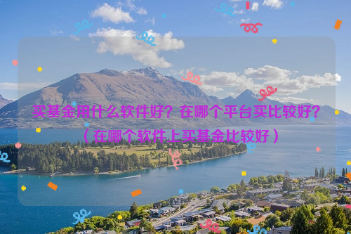 买基金用什么软件好？在哪个平台买比较好？（在哪个软件上买基金比较好）