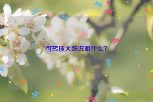 可转债大跌说明什么？