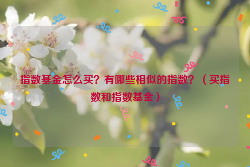 指数基金怎么买？有哪些相似的指数？（买指数和指数基金）