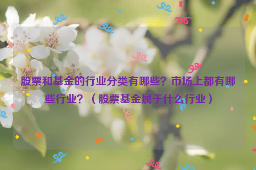 股票和基金的行业分类有哪些？市场上都有哪些行业？（股票基金属于什么行业）