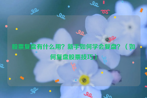 股票复盘有什么用？新手如何学会复盘？（如何复盘股票技巧）