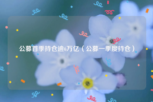 公募首季持仓逾6万亿（公募一季度持仓）