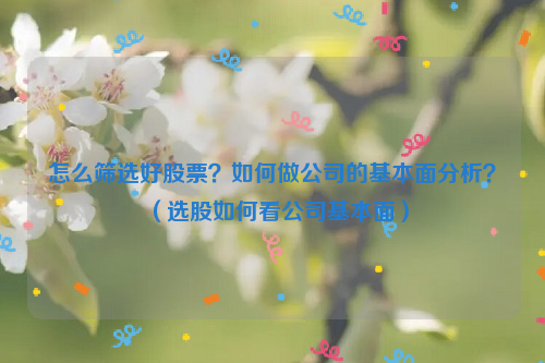 怎么筛选好股票？如何做公司的基本面分析？（选股如何看公司基本面）