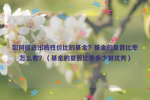 如何挑选出高性价比的基金？基金的夏普比率怎么看？（基金的夏普比率多少算优秀）