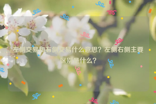 左侧交易和右侧交易什么意思？左侧右侧主要区别是什么？