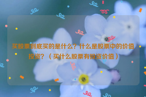 买股票到底买的是什么？什么是股票中的价值投资？（买什么股票有投资价值）