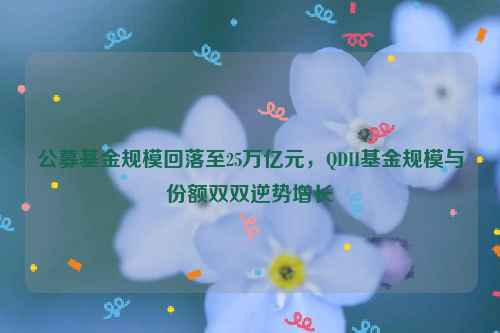 公募基金规模回落至25万亿元，QDII基金规模与份额双双逆势增长​