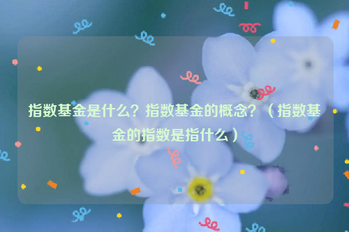 指数基金是什么？指数基金的概念？（指数基金的指数是指什么）