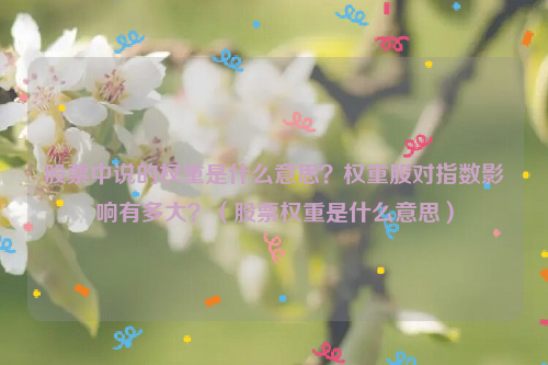 股票中说的权重是什么意思？权重股对指数影响有多大？（股票权重是什么意思）