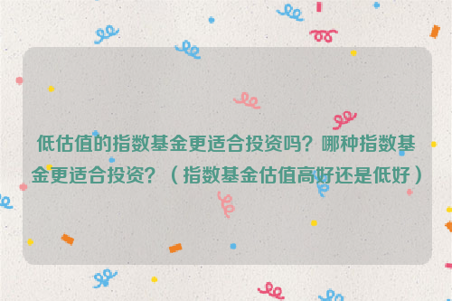 低估值的指数基金更适合投资吗？哪种指数基金更适合投资？（指数基金估值高好还是低好）