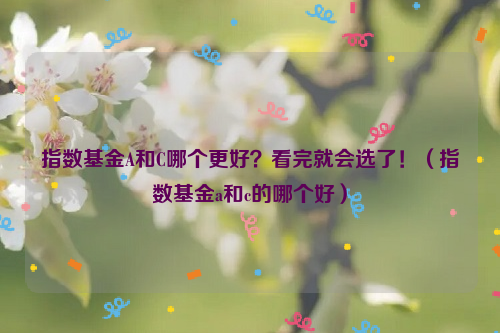 指数基金A和C哪个更好？看完就会选了！（指数基金a和c的哪个好）