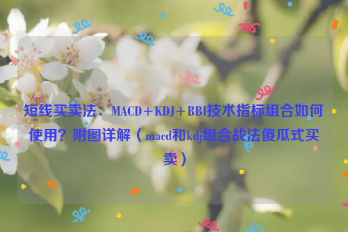 短线买卖法：MACD+KDJ+BBI技术指标组合如何使用？附图详解（macd和kdj组合战法傻瓜式买卖）