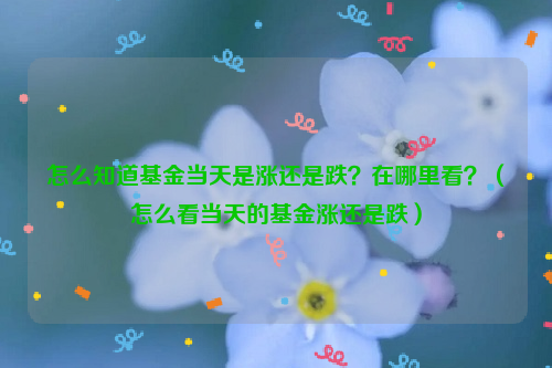 怎么知道基金当天是涨还是跌？在哪里看？（怎么看当天的基金涨还是跌）