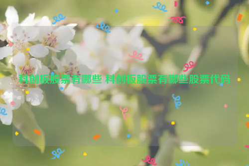 科创板股票有哪些 科创板股票有哪些股票代码
