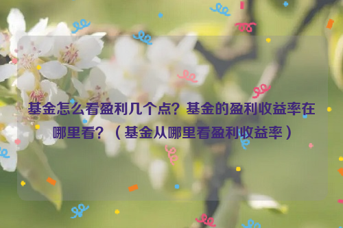 基金怎么看盈利几个点？基金的盈利收益率在哪里看？（基金从哪里看盈利收益率）