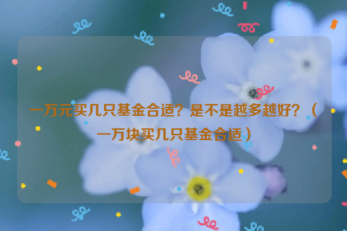 一万元买几只基金合适？是不是越多越好？（一万块买几只基金合适）