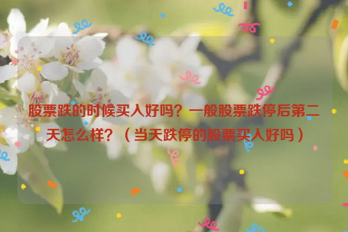 股票跌的时候买入好吗？一般股票跌停后第二天怎么样？（当天跌停的股票买入好吗）