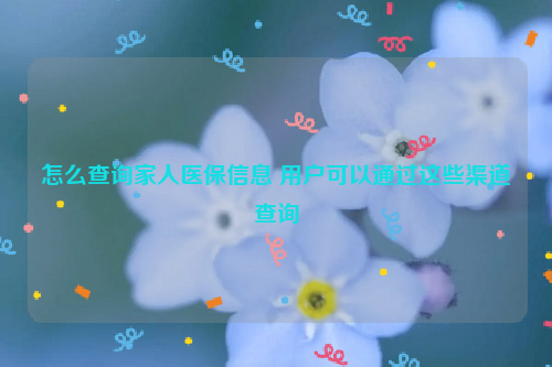 怎么查询家人医保信息 用户可以通过这些渠道查询