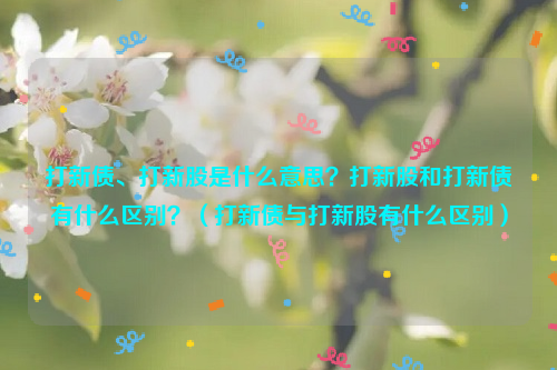 打新债、打新股是什么意思？打新股和打新债有什么区别？（打新债与打新股有什么区别）