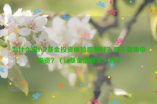 为什么说FOF基金投资体验感更好？要不要集中投资？（fof基金值得买入吗）