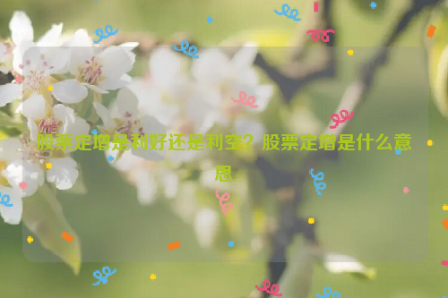 股票定增是利好还是利空？股票定增是什么意思