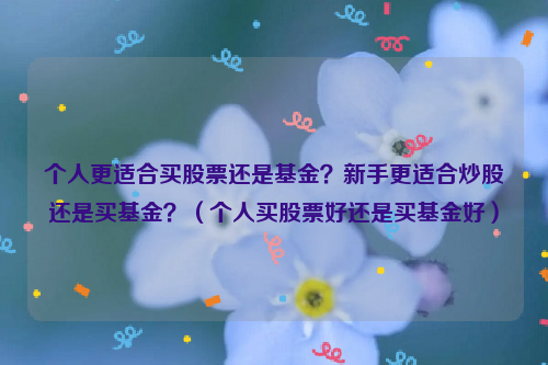 个人更适合买股票还是基金？新手更适合炒股还是买基金？（个人买股票好还是买基金好）