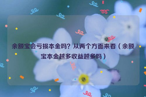 余额宝会亏损本金吗？从两个方面来看（余额宝本金越多收益越多吗）