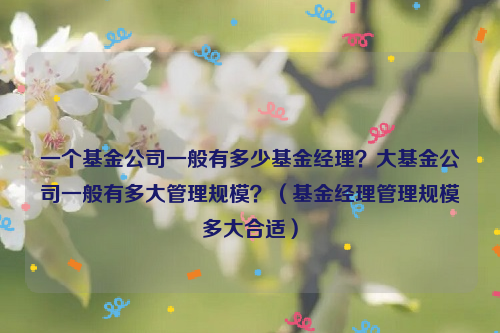 一个基金公司一般有多少基金经理？大基金公司一般有多大管理规模？（基金经理管理规模多大合适）