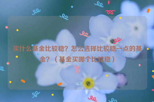 买什么基金比较稳？怎么选择比较稳一点的基金？（基金买哪个比较稳）