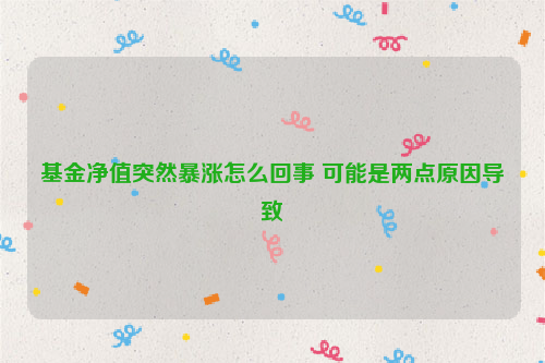 基金净值突然暴涨怎么回事 可能是两点原因导致