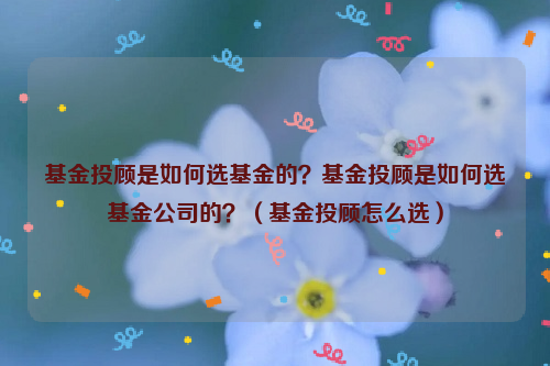 基金投顾是如何选基金的？基金投顾是如何选基金公司的？（基金投顾怎么选）